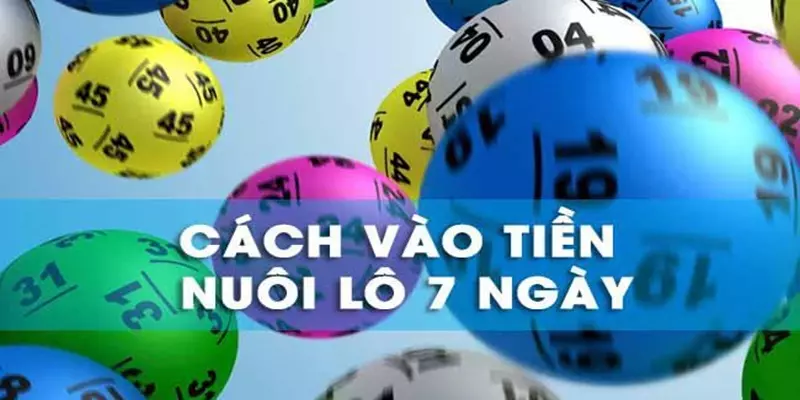 Nuôi khung 7 ngày khá kén người chơi 